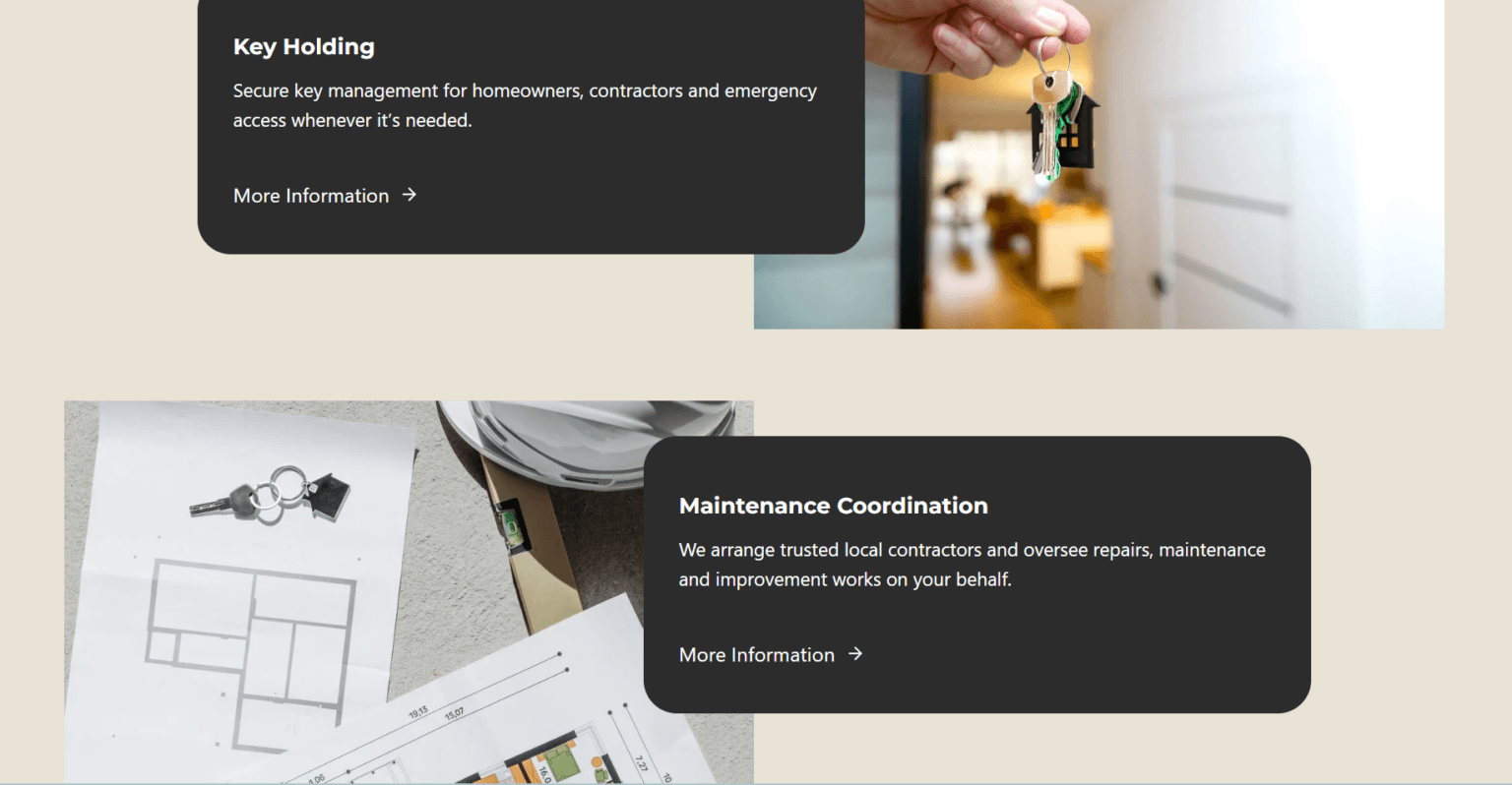 professional website